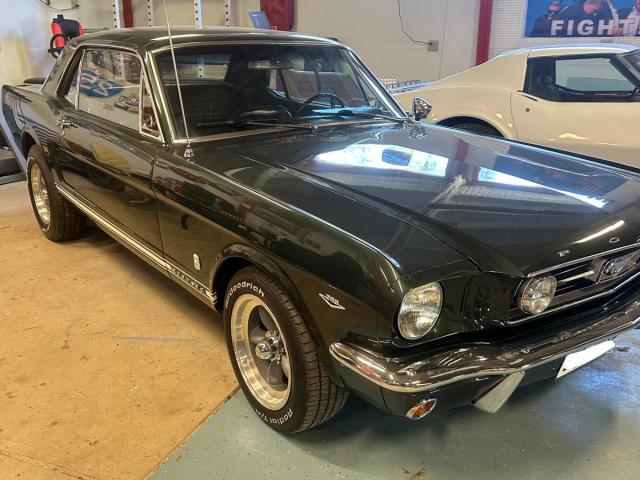 Ford Mustang image 4