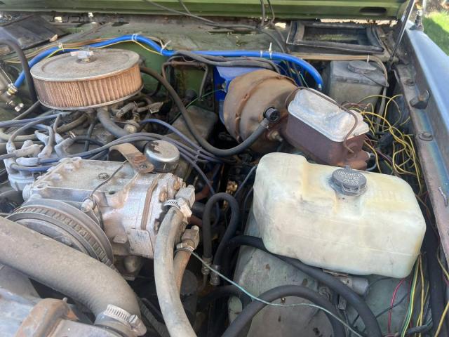 Ford Bronco image 1