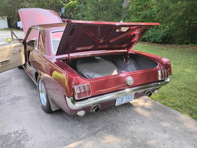 Ford Mustang image 7