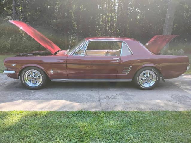 Ford Mustang image 1