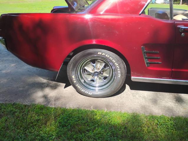 Ford Mustang image 6