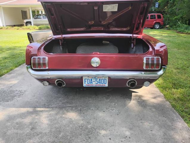 Ford Mustang image 5