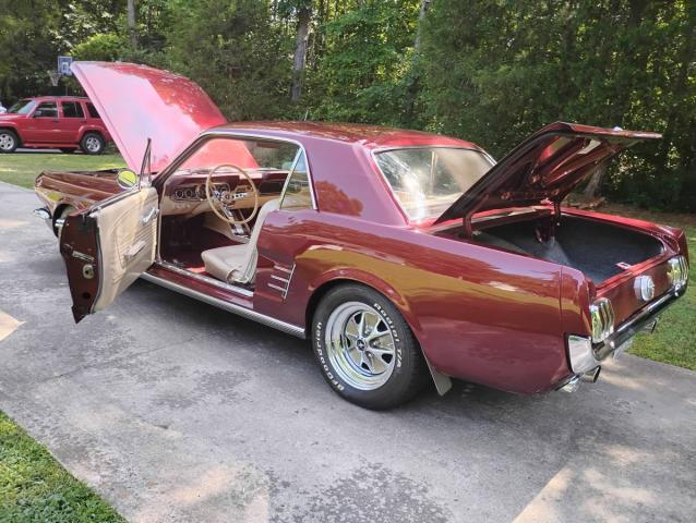Ford Mustang image 4