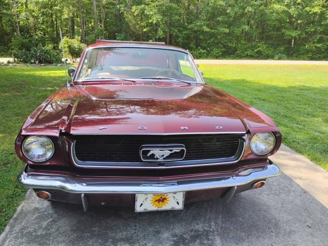 Ford Mustang image 3