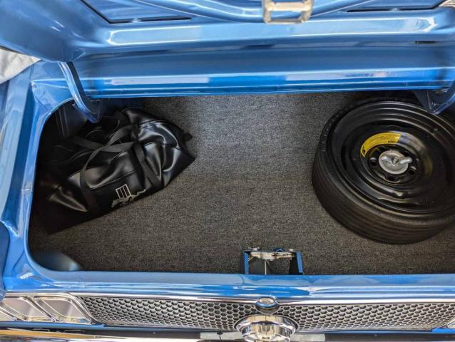Ford Mustang Mach 1 image 8