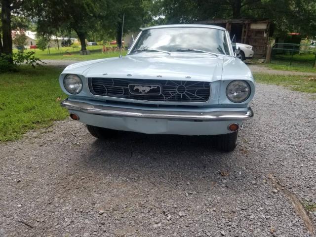 Ford Mustang image 1