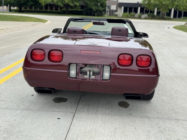 Chevrolet Corvette image 4