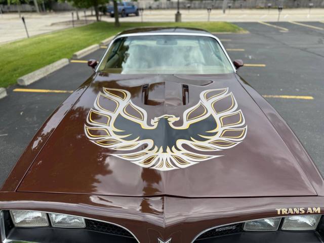 Pontiac Trans Am image 7
