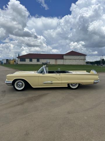 Ford Thunderbird image 3
