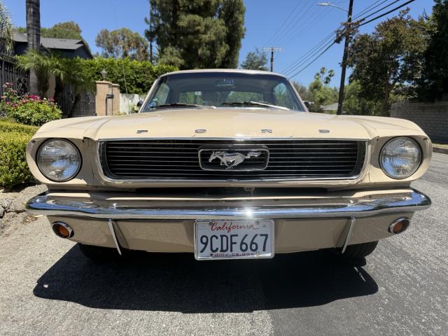 Ford Mustang image 9
