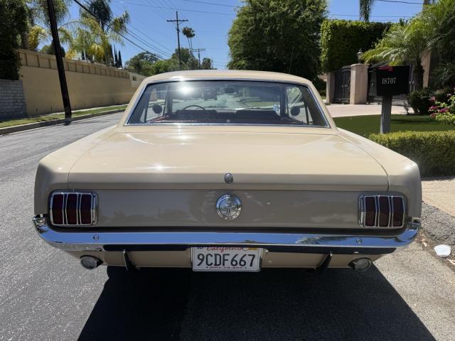 Ford Mustang image 3