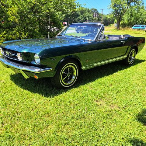 Ford Mustang image 6