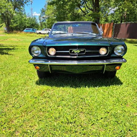 Ford Mustang image 2