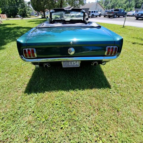Ford Mustang image 8