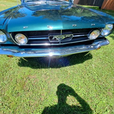 Ford Mustang image 5