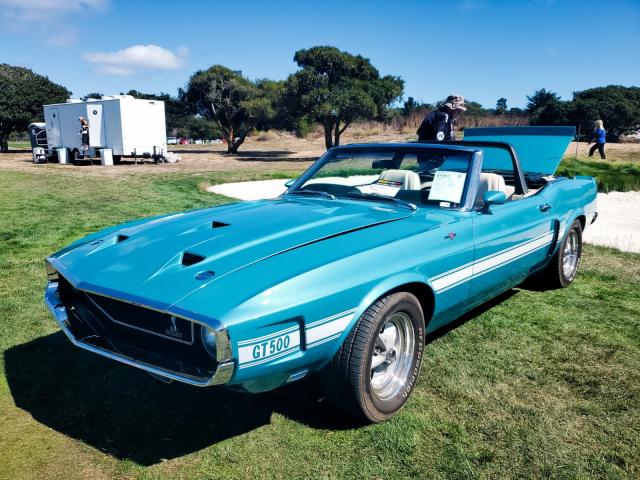 Shelby