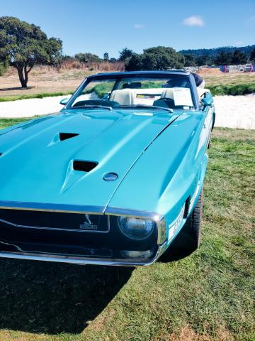 Shelby Gt 500 Convertible image 6