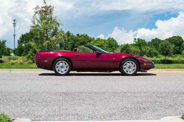 Chevrolet Corvette image 3