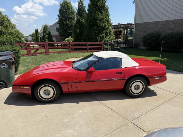 Chevrolet Corvette image 3
