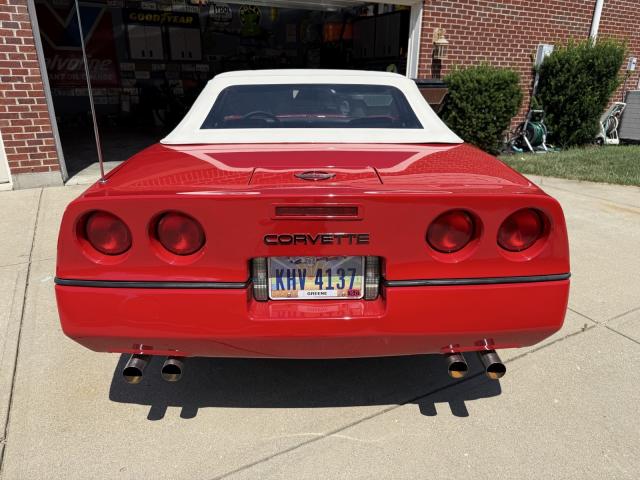 Chevrolet Corvette image 7