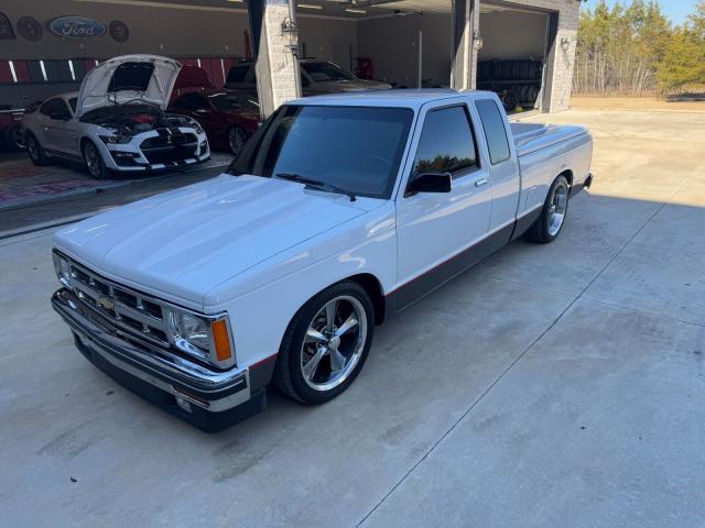 Chevrolet S-10 image 2