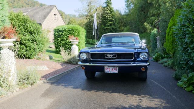 Ford Mustang image 2