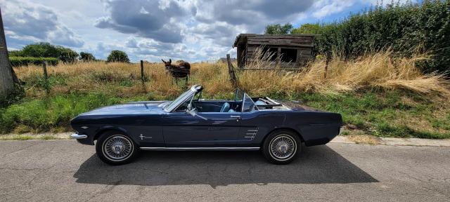 Ford Mustang image 1