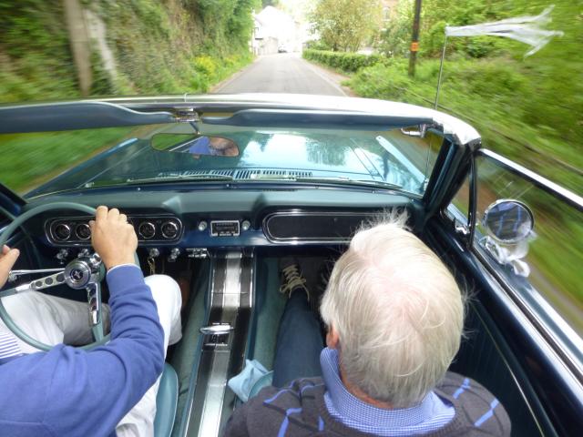 Ford Mustang image 3