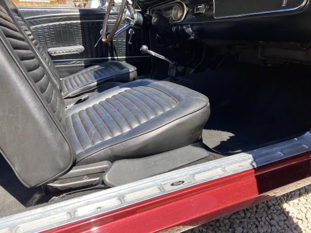 Ford Mustang image 3