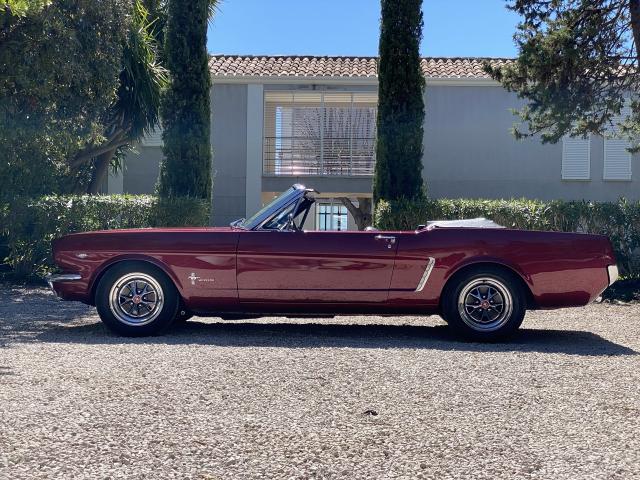 Ford Mustang image 1