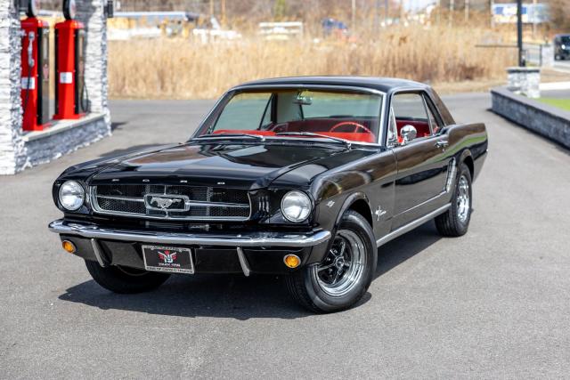 Ford Mustang image 1