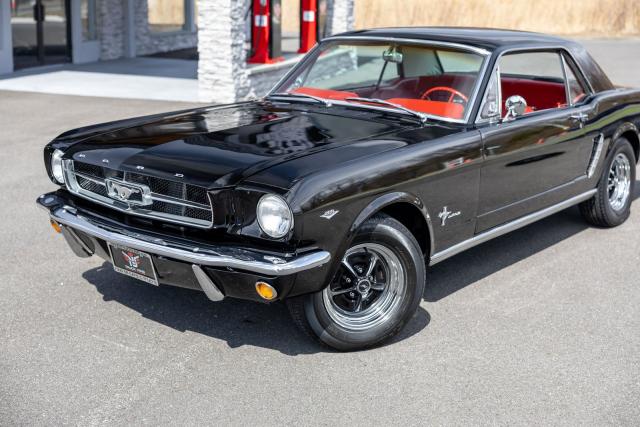 Ford Mustang image 6