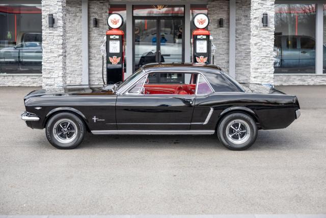 Ford Mustang image 3