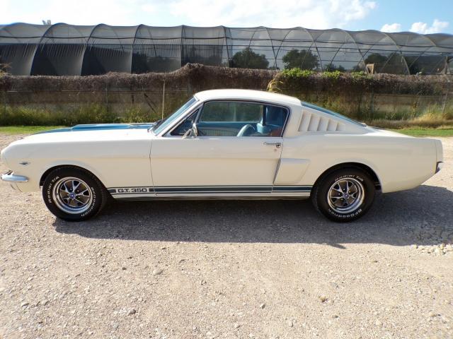 Ford Mustang image 1