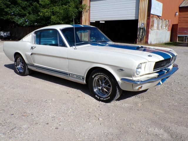 Ford Mustang image 2