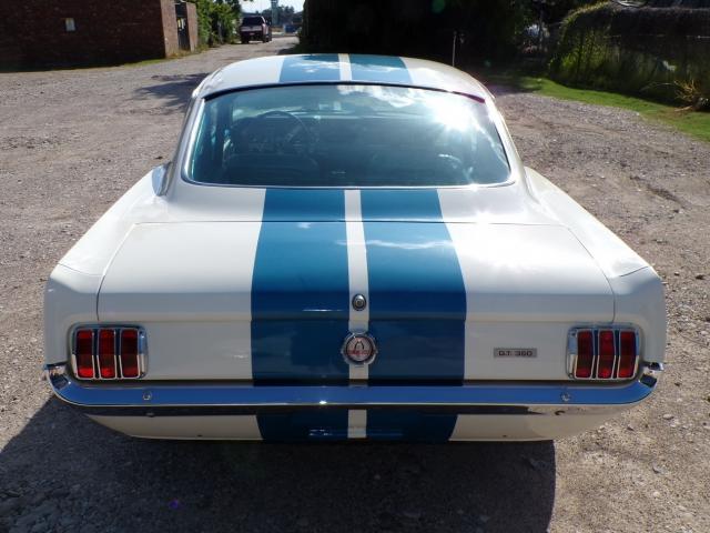 Ford Mustang image 3