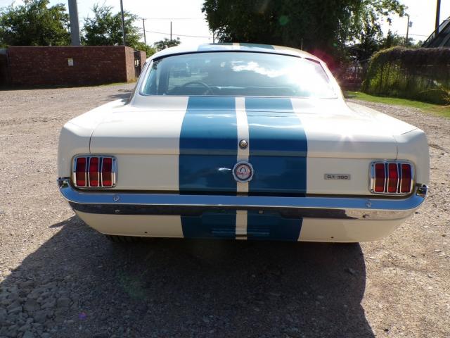 Ford Mustang image 9