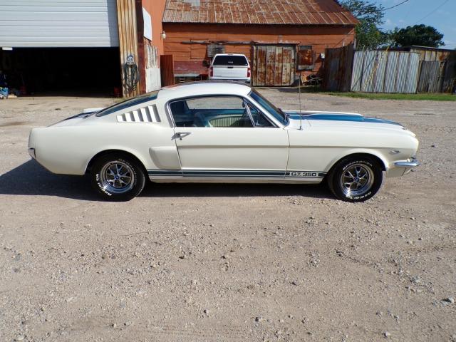 Ford Mustang image 7