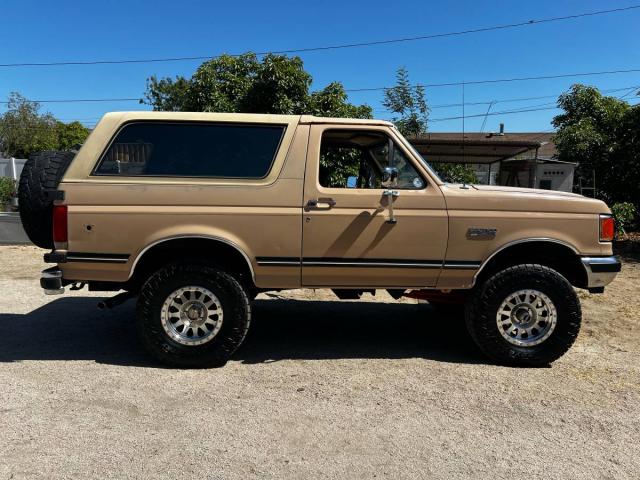 Ford Bronco 4x4 image 5