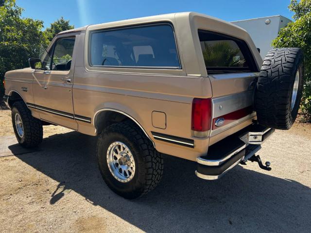 Ford Bronco 4x4 image 2