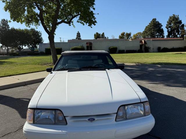 Ford Mustang image 1