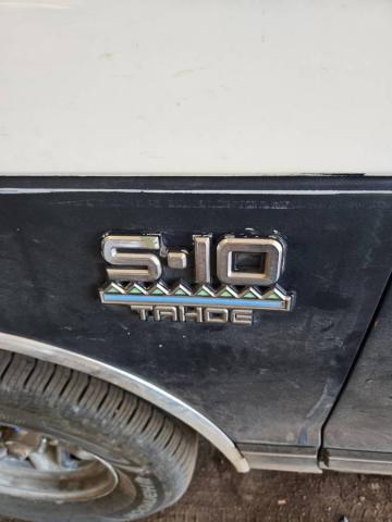 Chevrolet S10 Pickup image 6