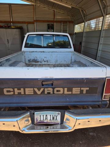 Chevrolet S10 Pickup image 2