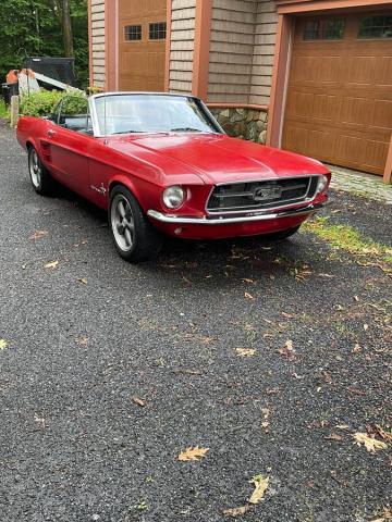 Ford Mustang image 1