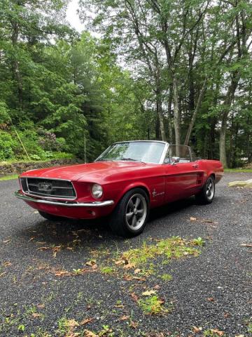 Ford Mustang image 4