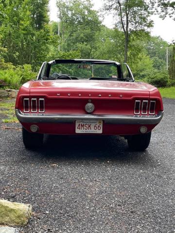 Ford Mustang image 3