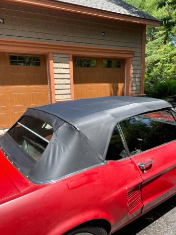 Ford Mustang image 1