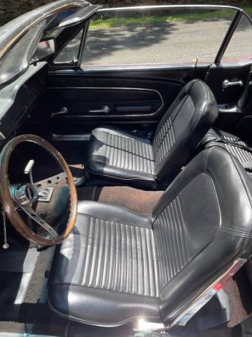 Ford Mustang image 3