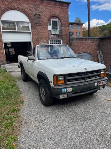 Dodge Dakota Sport 4x4 image 5