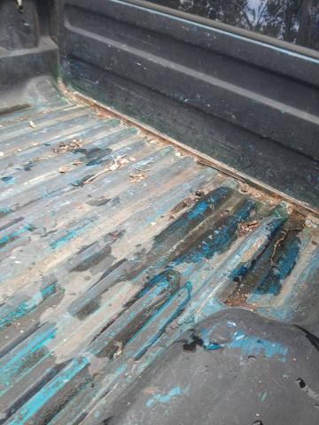 Ford Ranger image 2